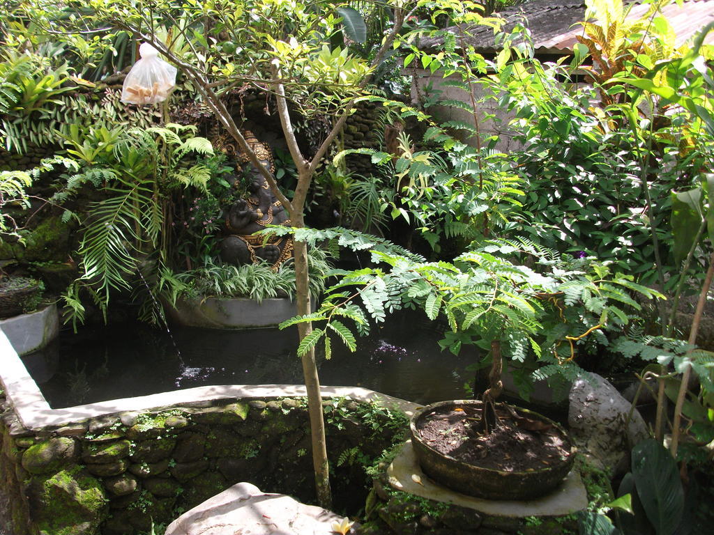 Arsa Homestay & Spa 우붓 외부 사진